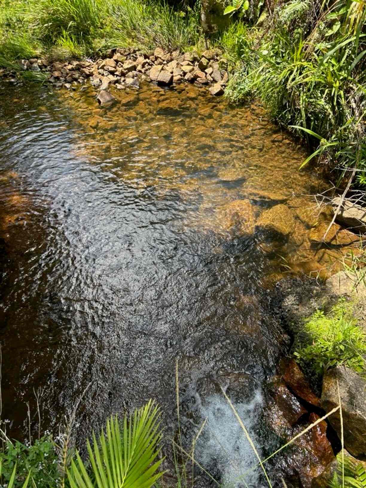 Lot 5 49 Meuanbah Road — photo 4 of 12