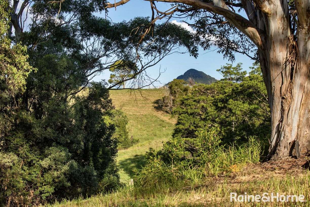 Lake Macdonald QLD — photo 16 of 23