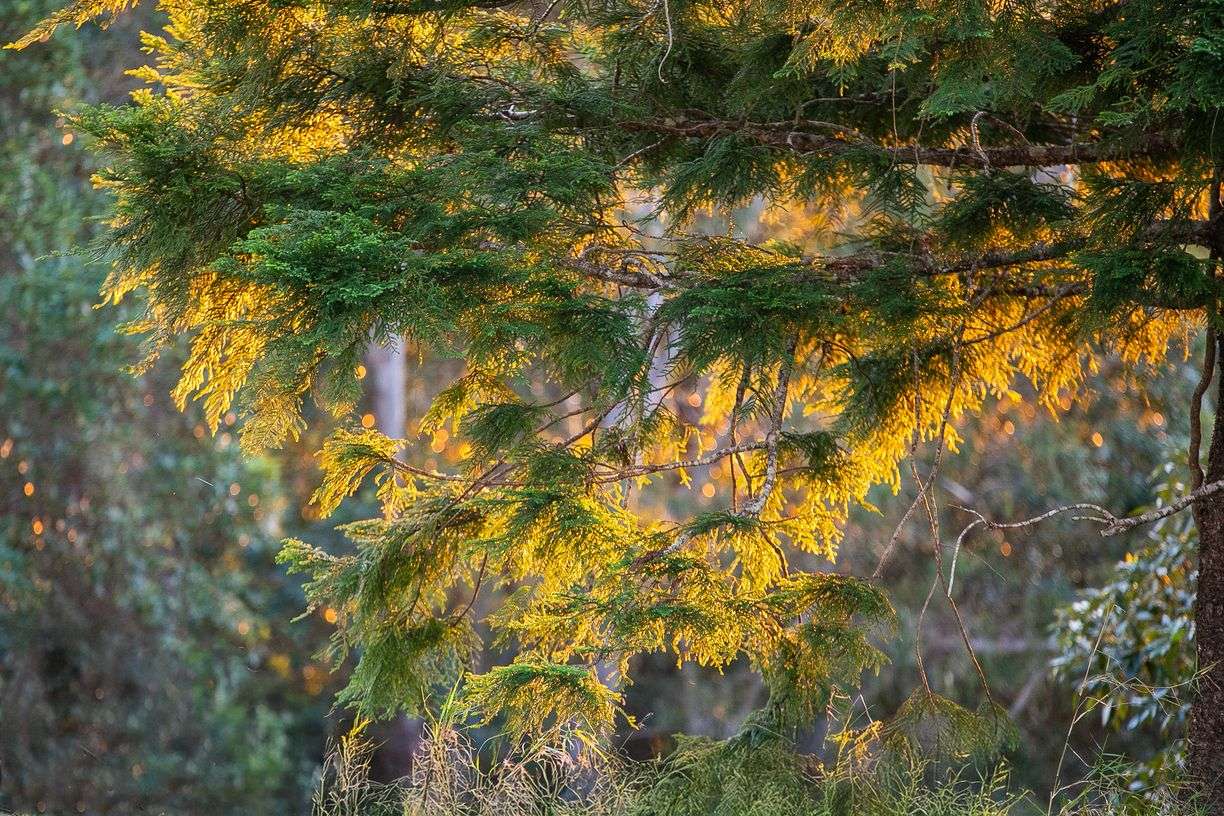 Lake Macdonald QLD — photo 8 of 9