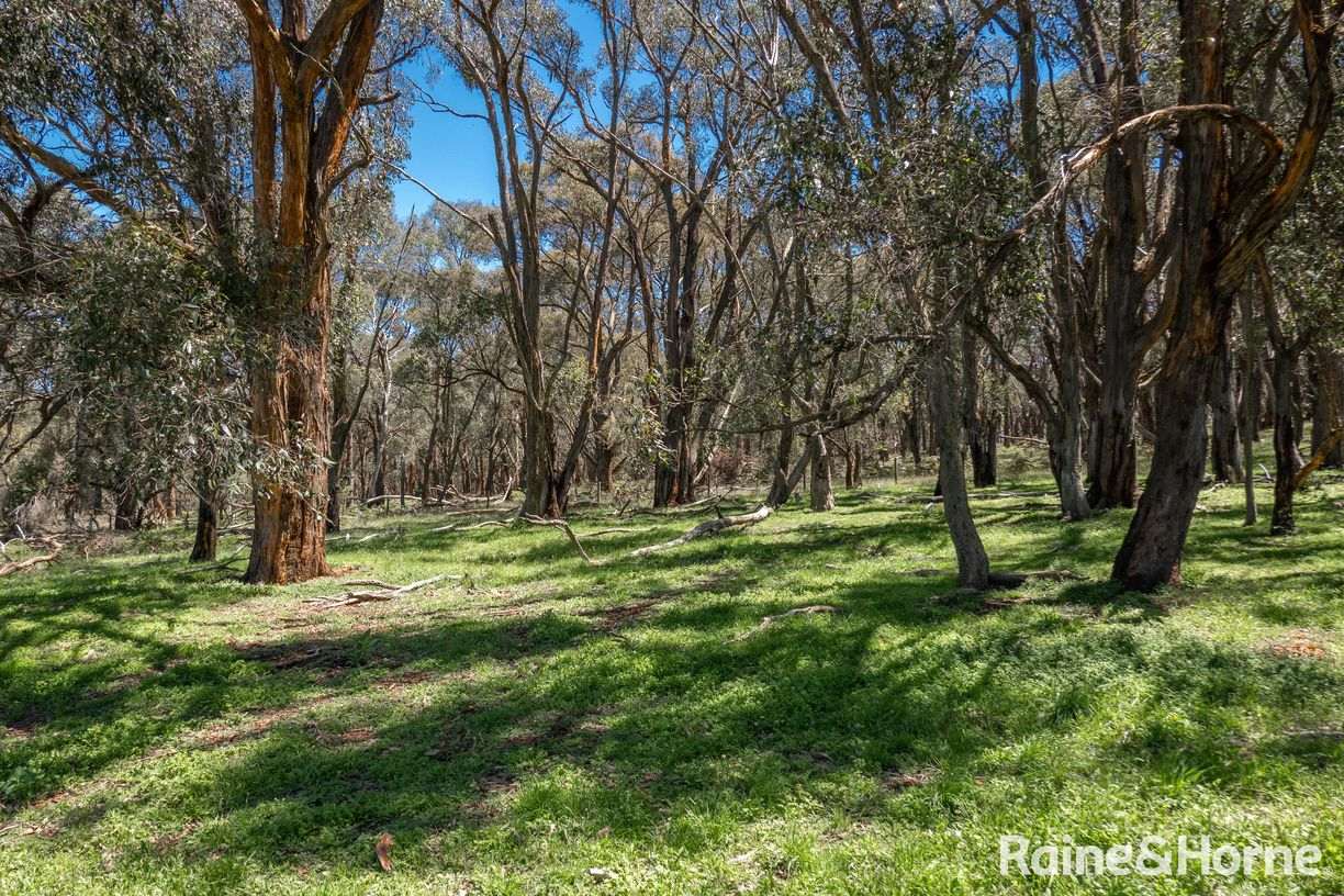 3/88 Blackhill Road — photo 12 of 14