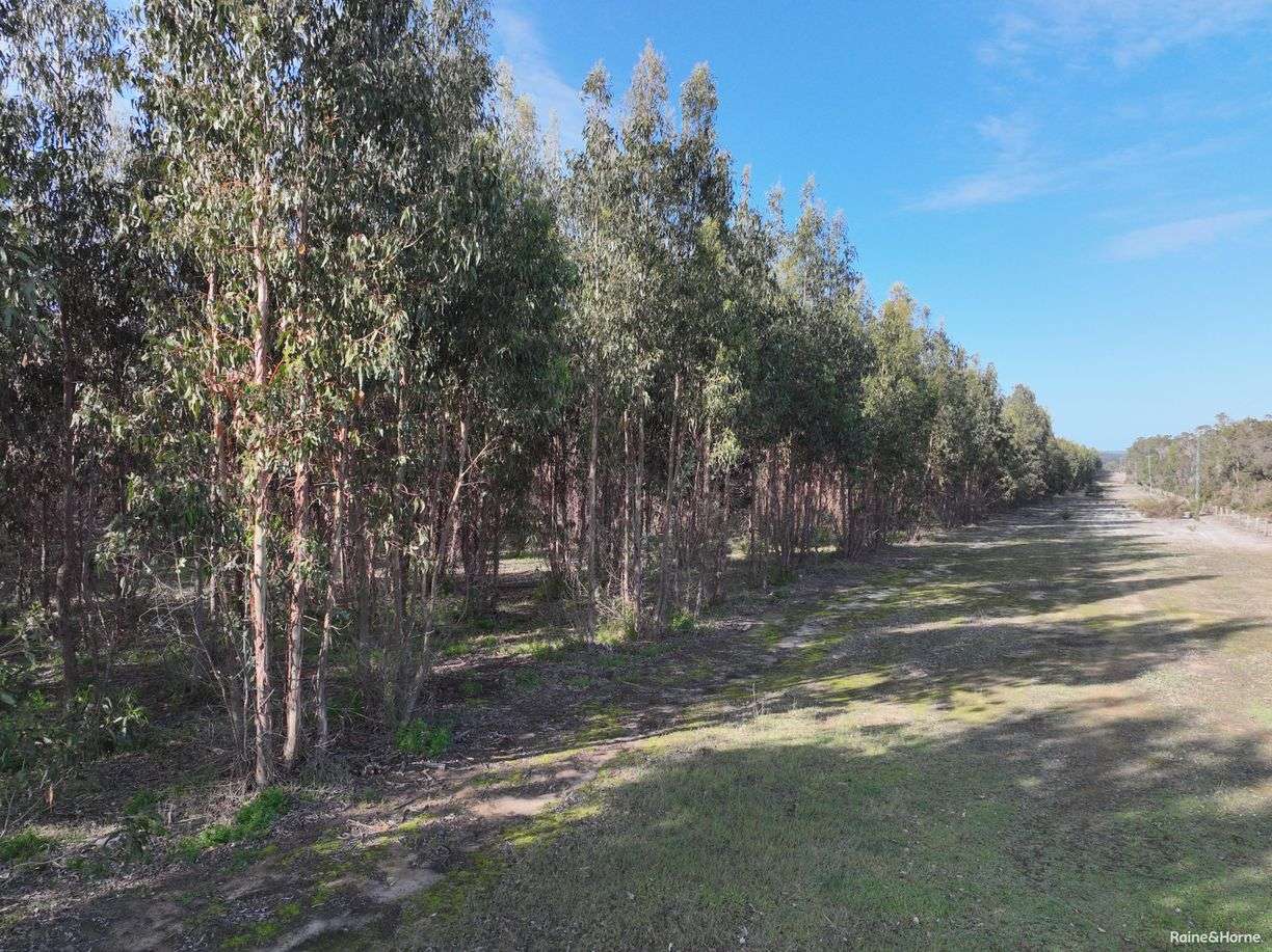 Lot 5809 Takenup Road — photo 8 of 10