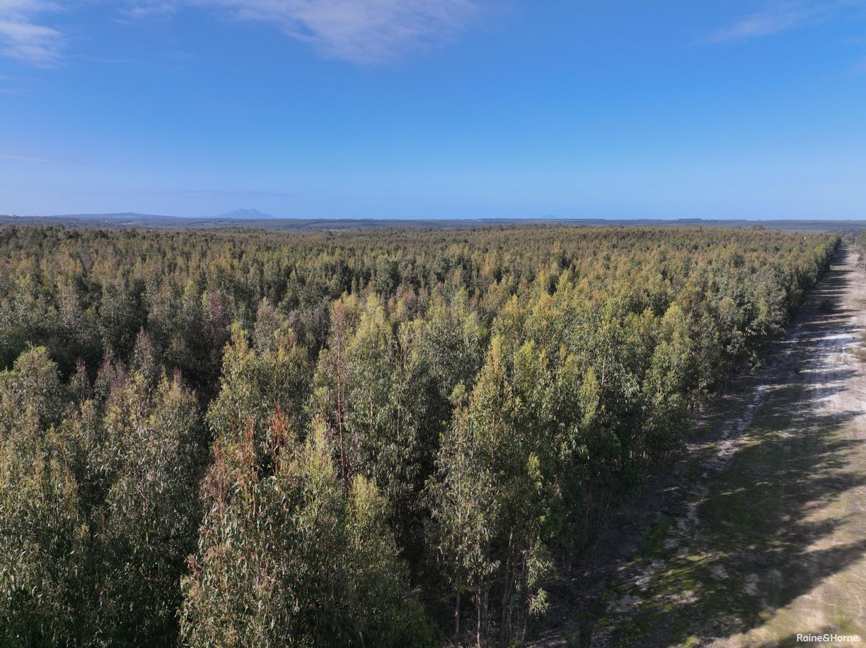 Lot 5809 Takenup Road — photo 7 of 10