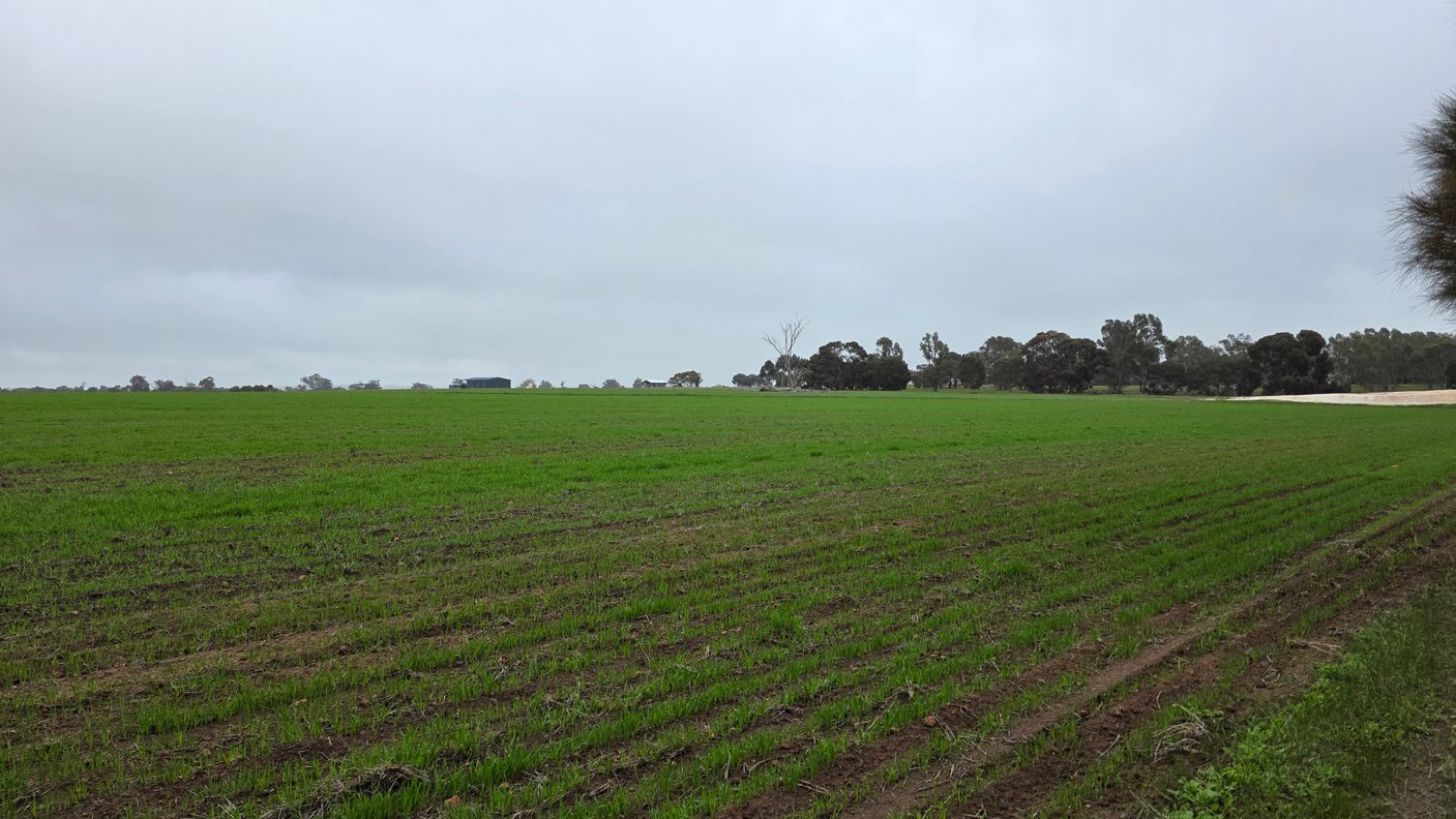 property-image