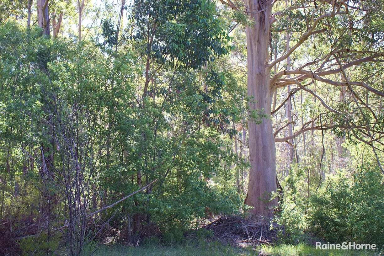 198 Glenrowan Road — photo 26 of 30