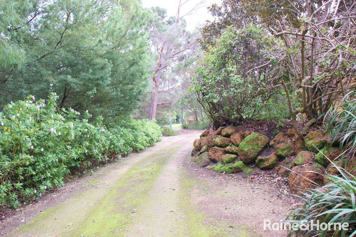 28 Anning Road — photo 19 of 20