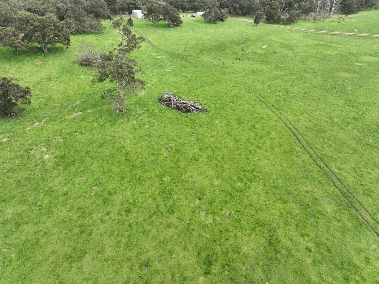 363 Morande Road — photo 19 of 23