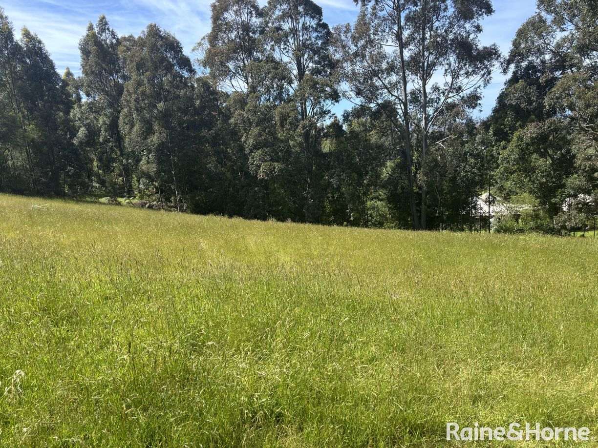 2 Wishart Place — photo 12 of 14