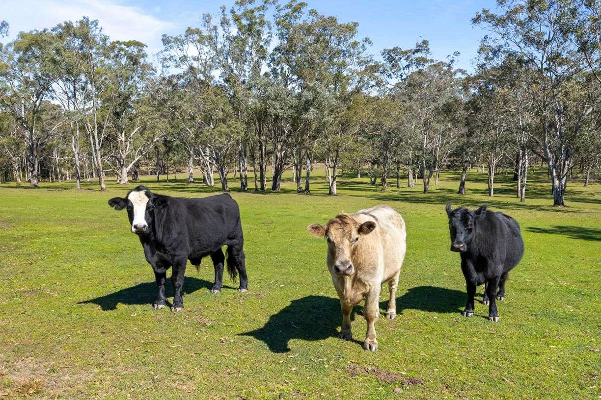 Lochinvar NSW — photo 30 of 30