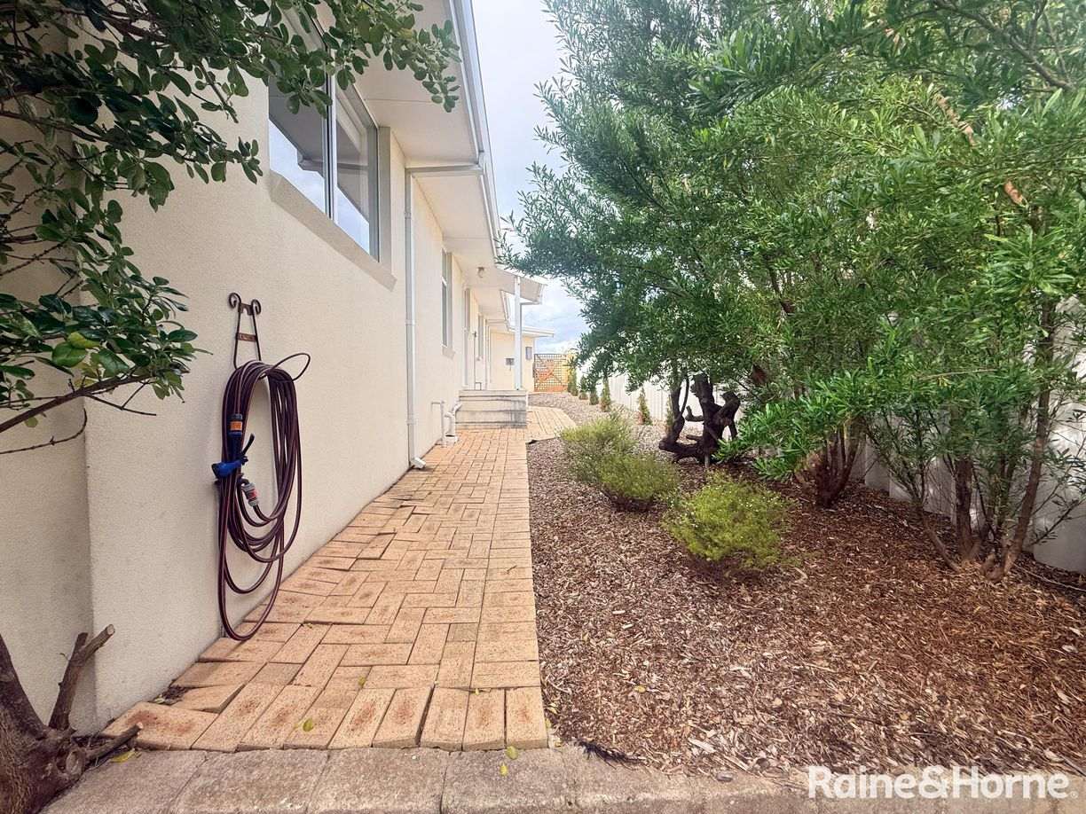 19 Springfield Street — photo 19 of 23