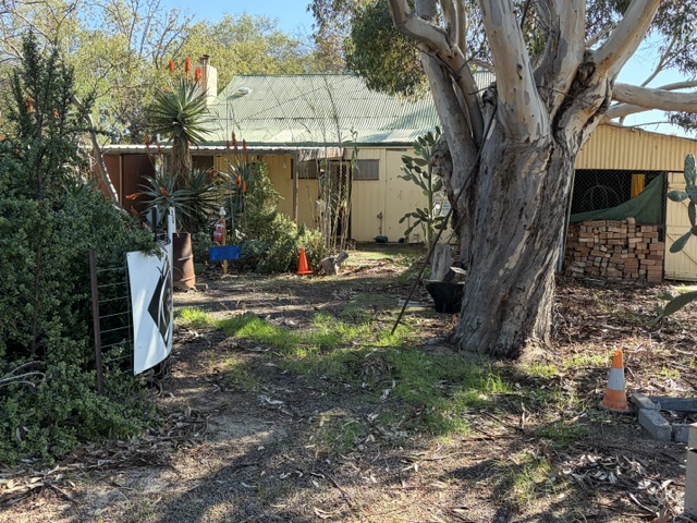 52 Bull Street — photo 2 of 10