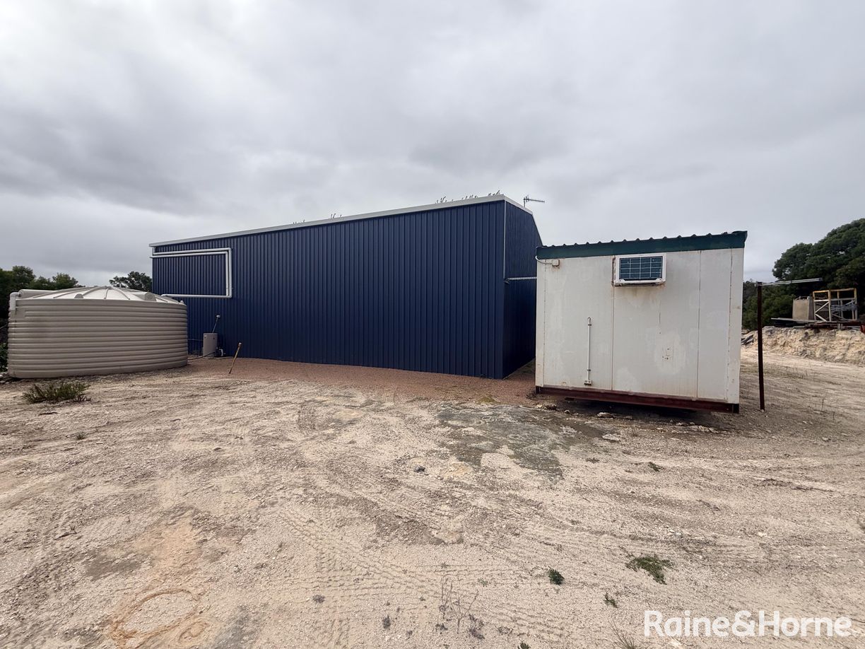 202 Canning Drive — photo 4 of 13