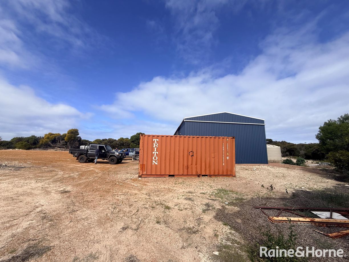 202 Canning Drive — photo 5 of 13
