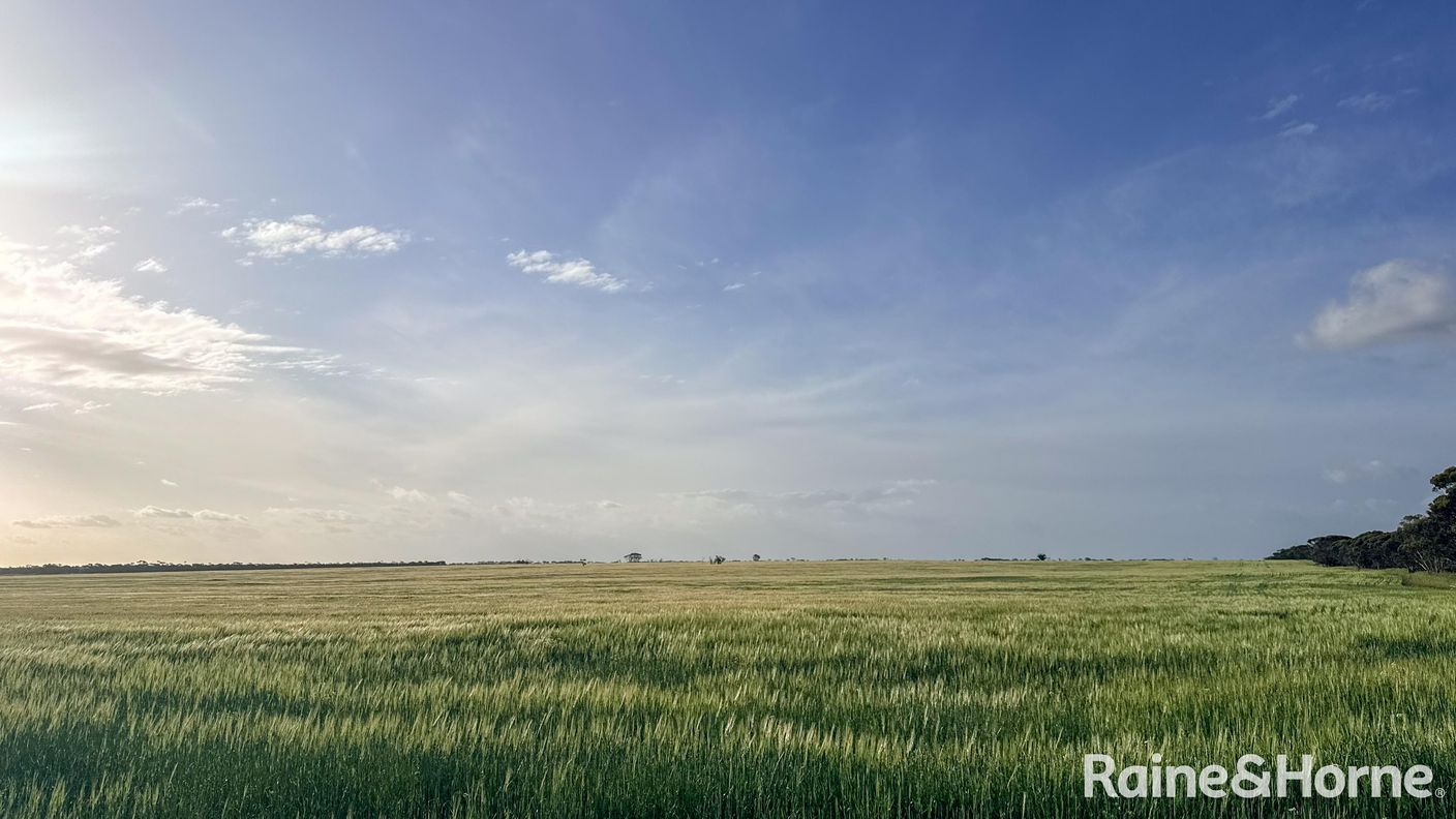 1417 Poverty Lane — photo from Raine & Horne Rural WA