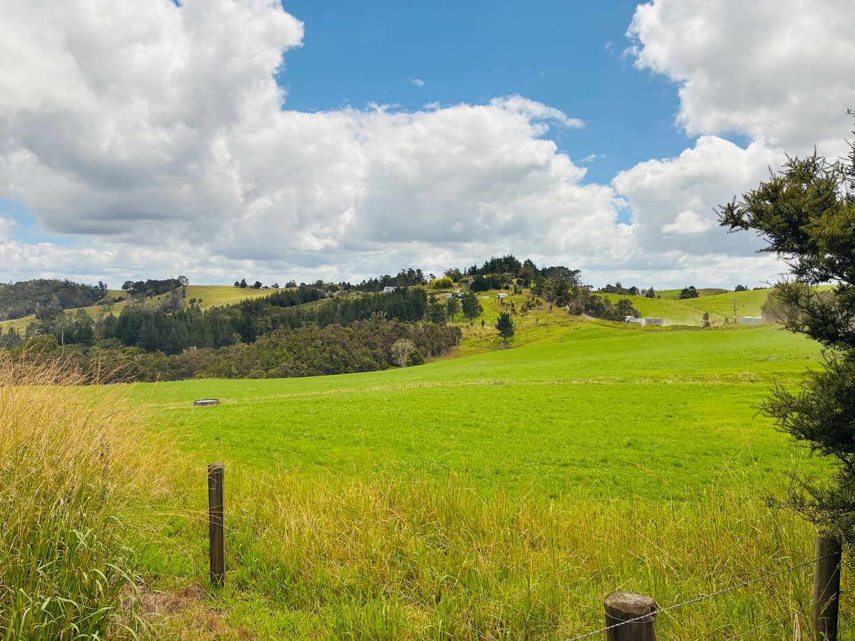 Pakaru Sold - 706 Pakaru Road, Kawakawa - Raine & Horne Paihia