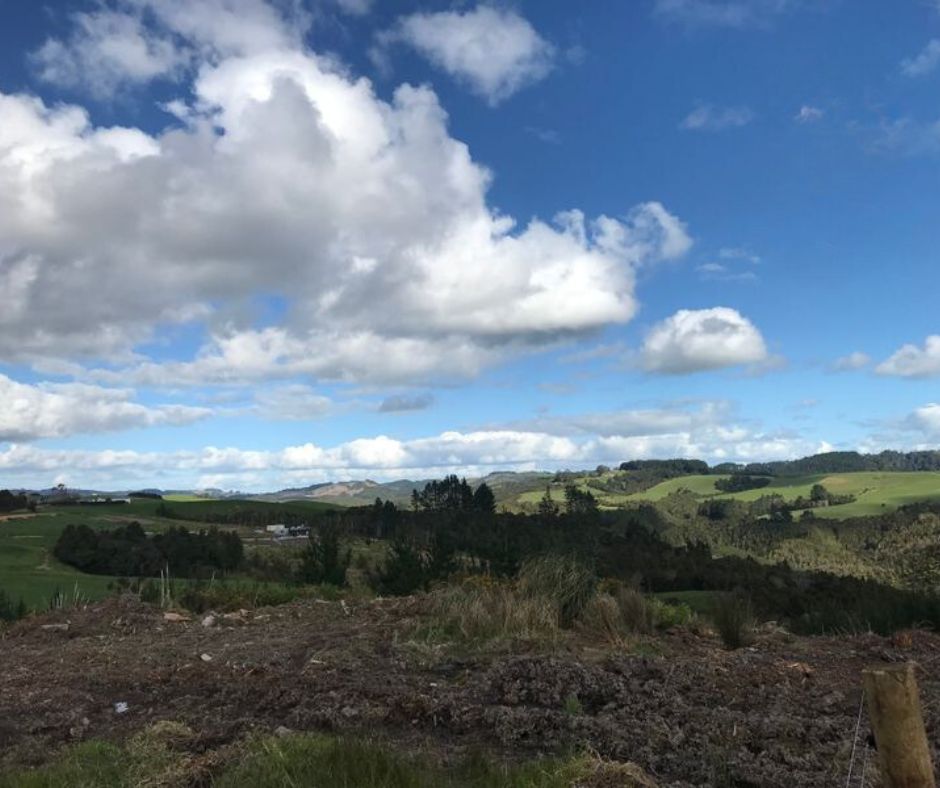 Pakaru Sold - 672 Pakaru Road, Kawakawa - Raine & Horne Paihia
