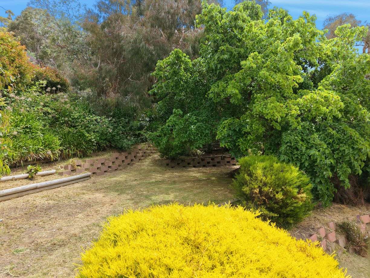 1 Cordelia Court — photo 8 of 12