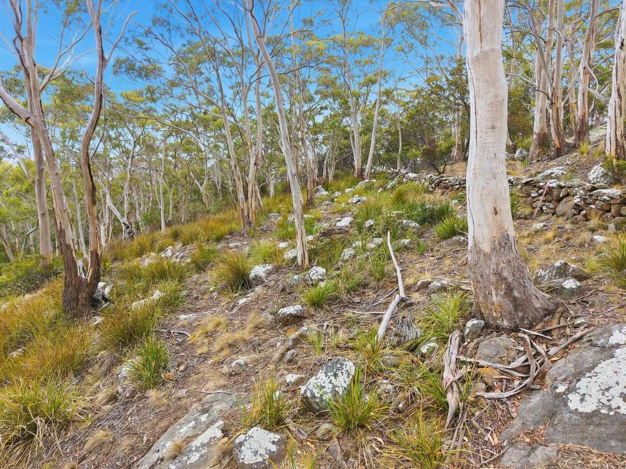 Lot 2/649B Nelson Road — photo 17 of 24
