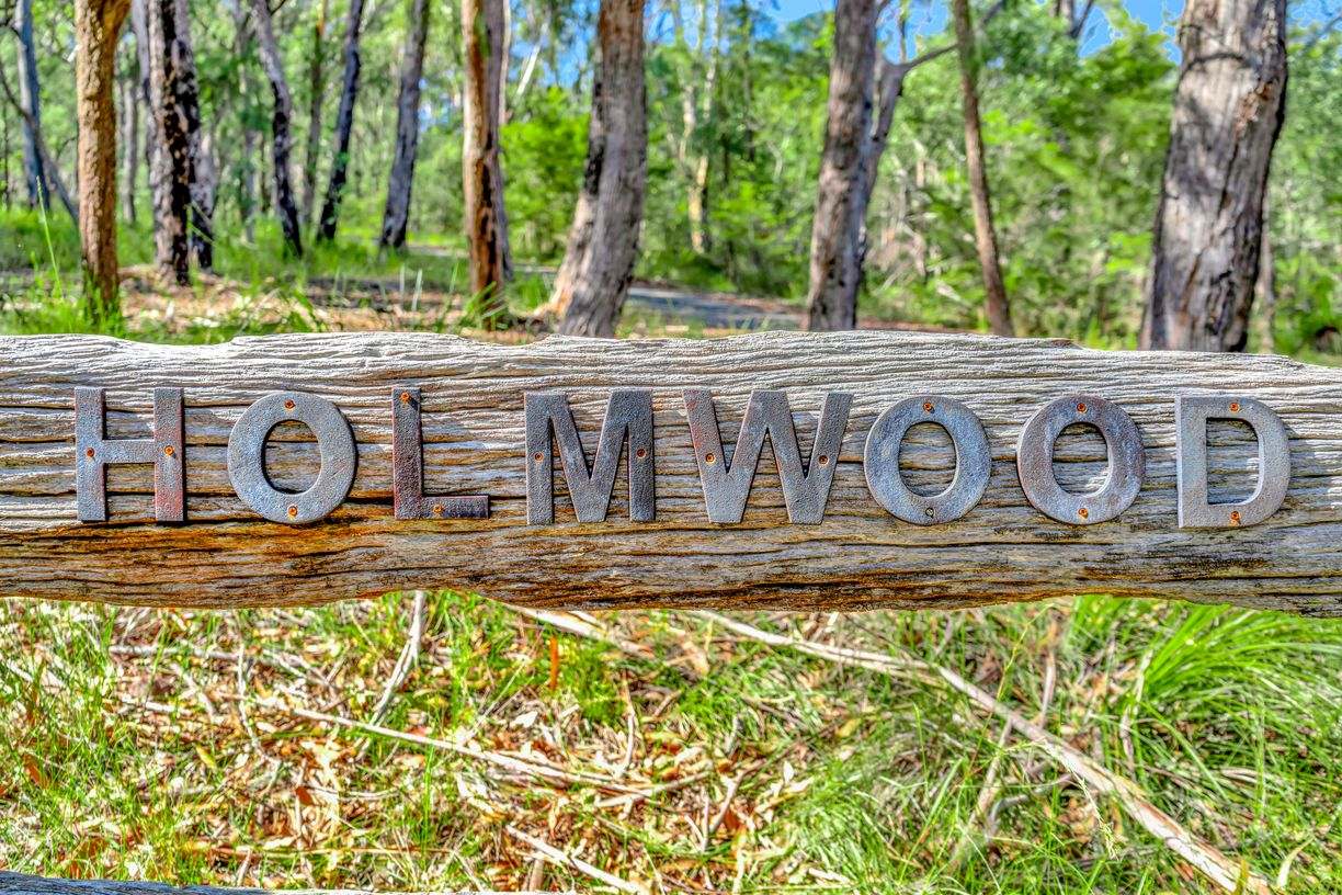 Holmwood Estate - "Dwellings by the Forest" - 4 Clunes Close, Ilarwill, NSW 2463 - Raine & Horne Maclean/Yamba/Iluka
