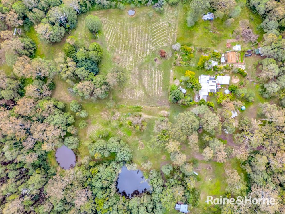 958 Upper Shark Creek Road — photo 7 of 24