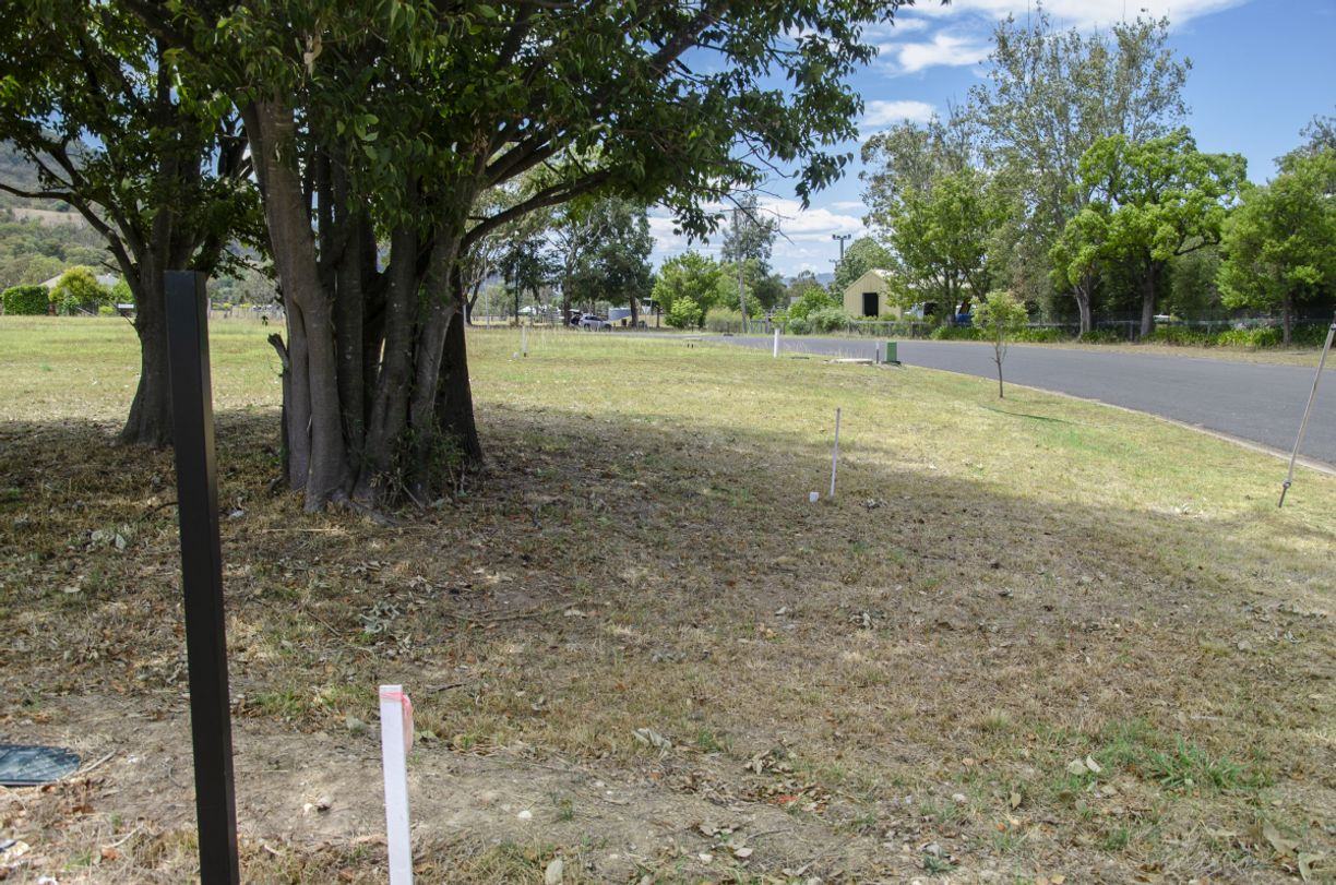 3 Rosella Street — photo 4 of 7
