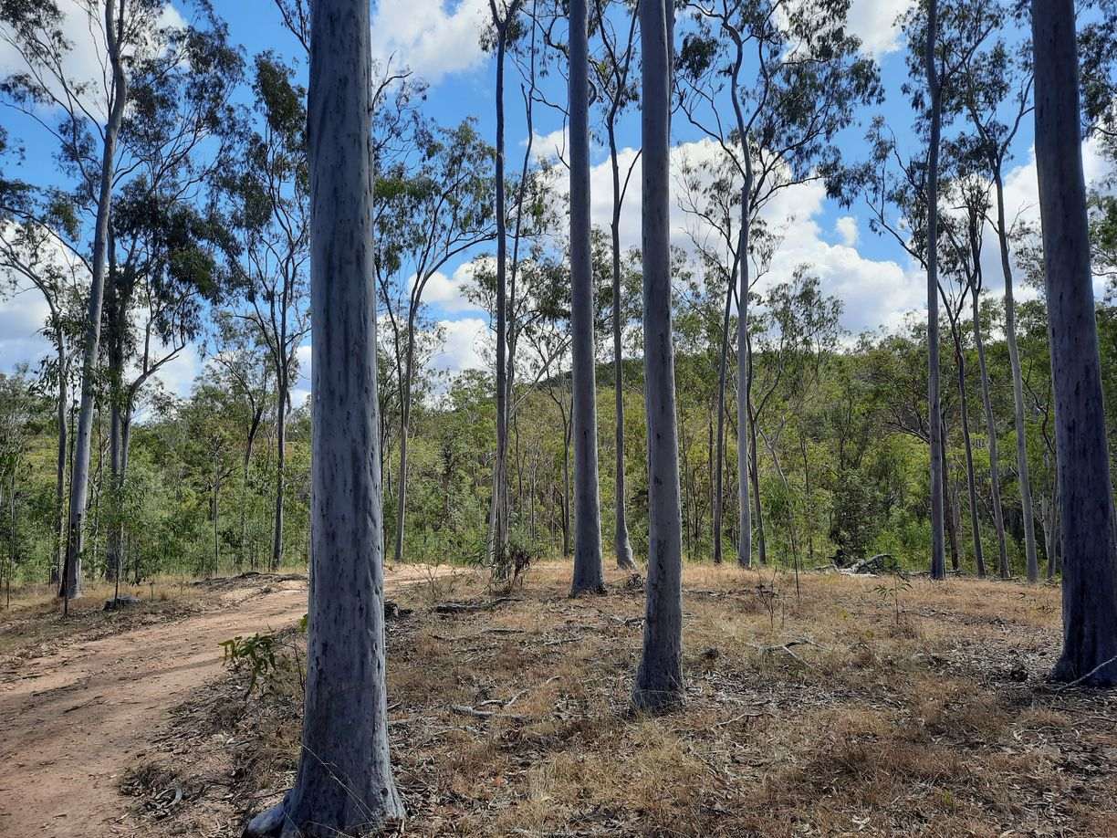931 Nearum Rd — photo from Raine & Horne Bundaberg