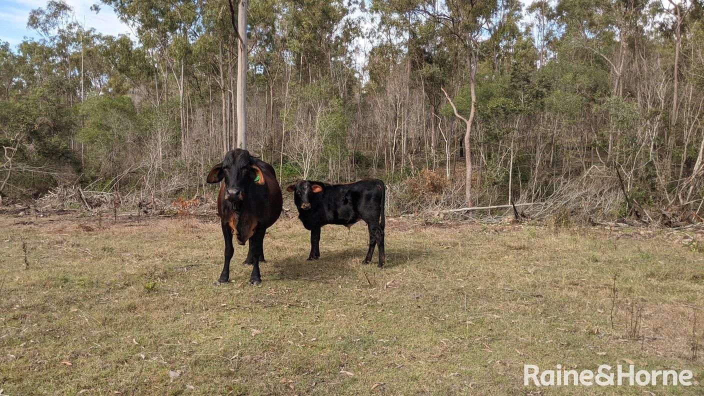 Lot 38 Tenningering Road — photo 30 of 30