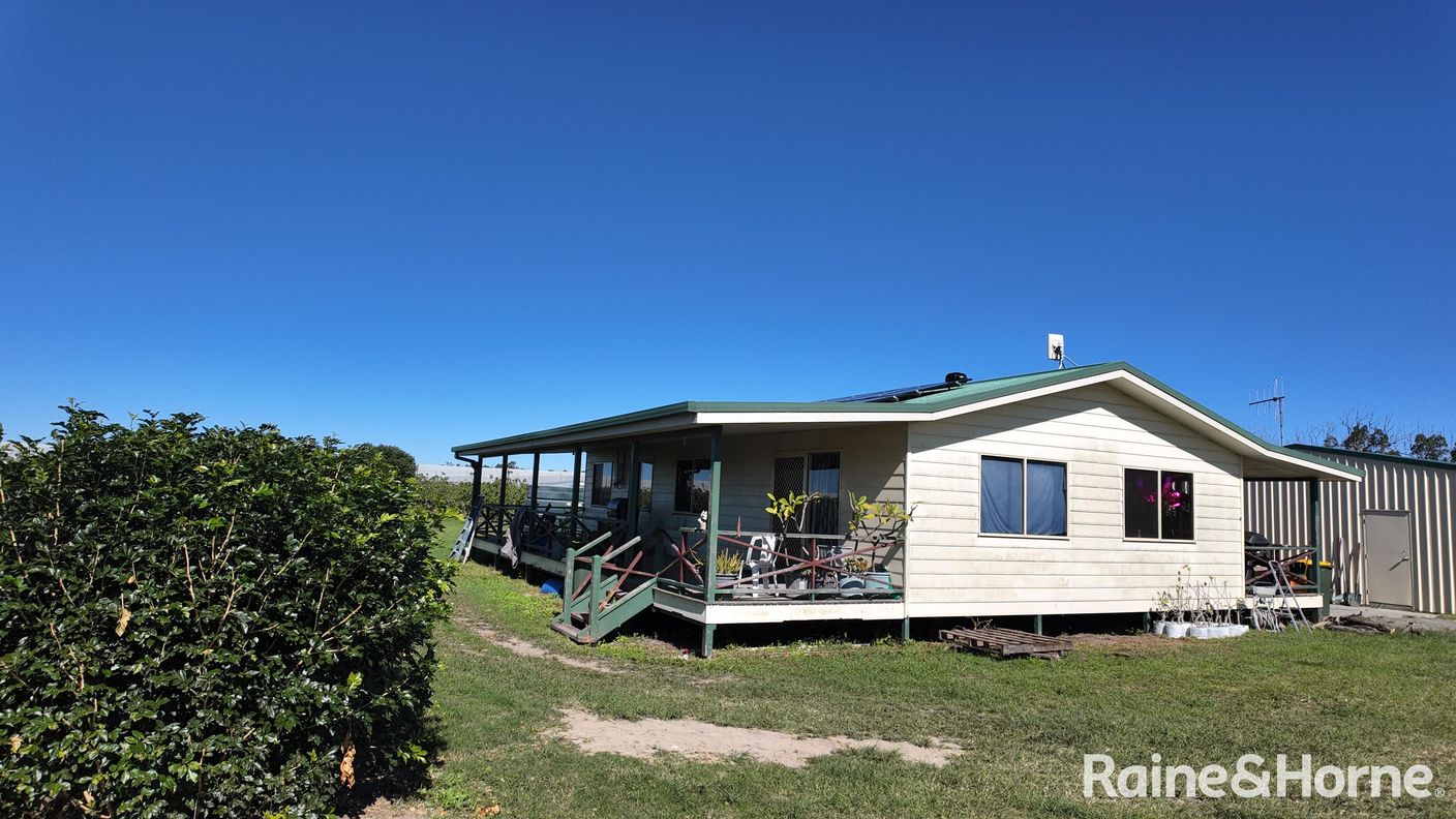 135 Newlands Road — photo 9 of 28