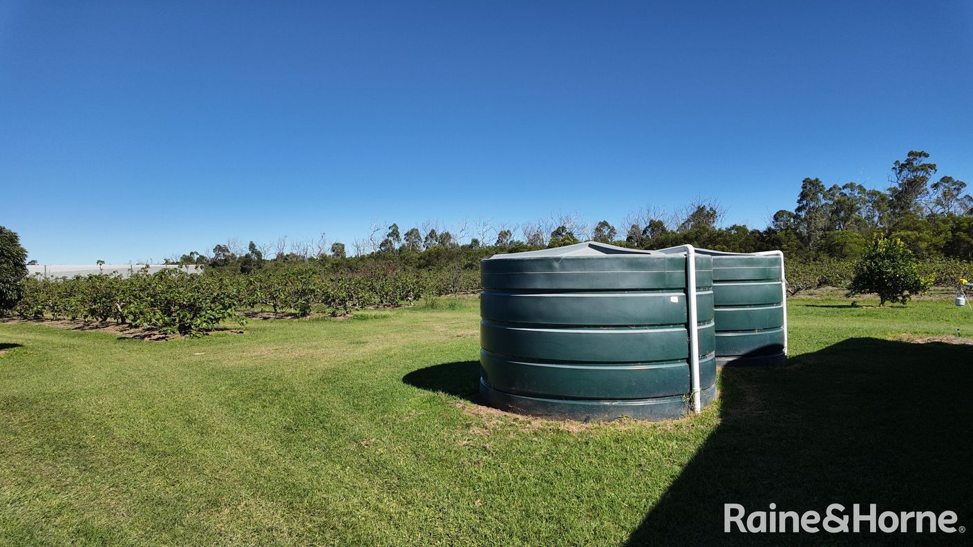 135 Newlands Road — photo 10 of 28