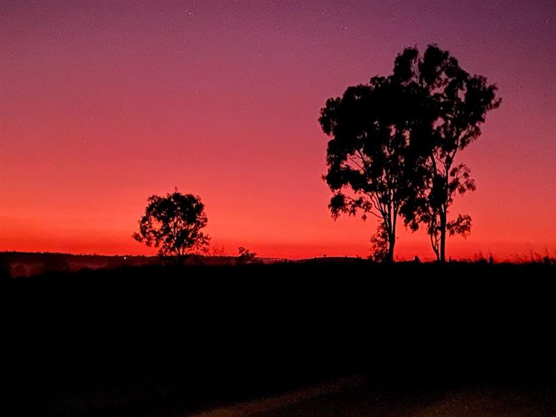 Good Night QLD — photo 22 of 23