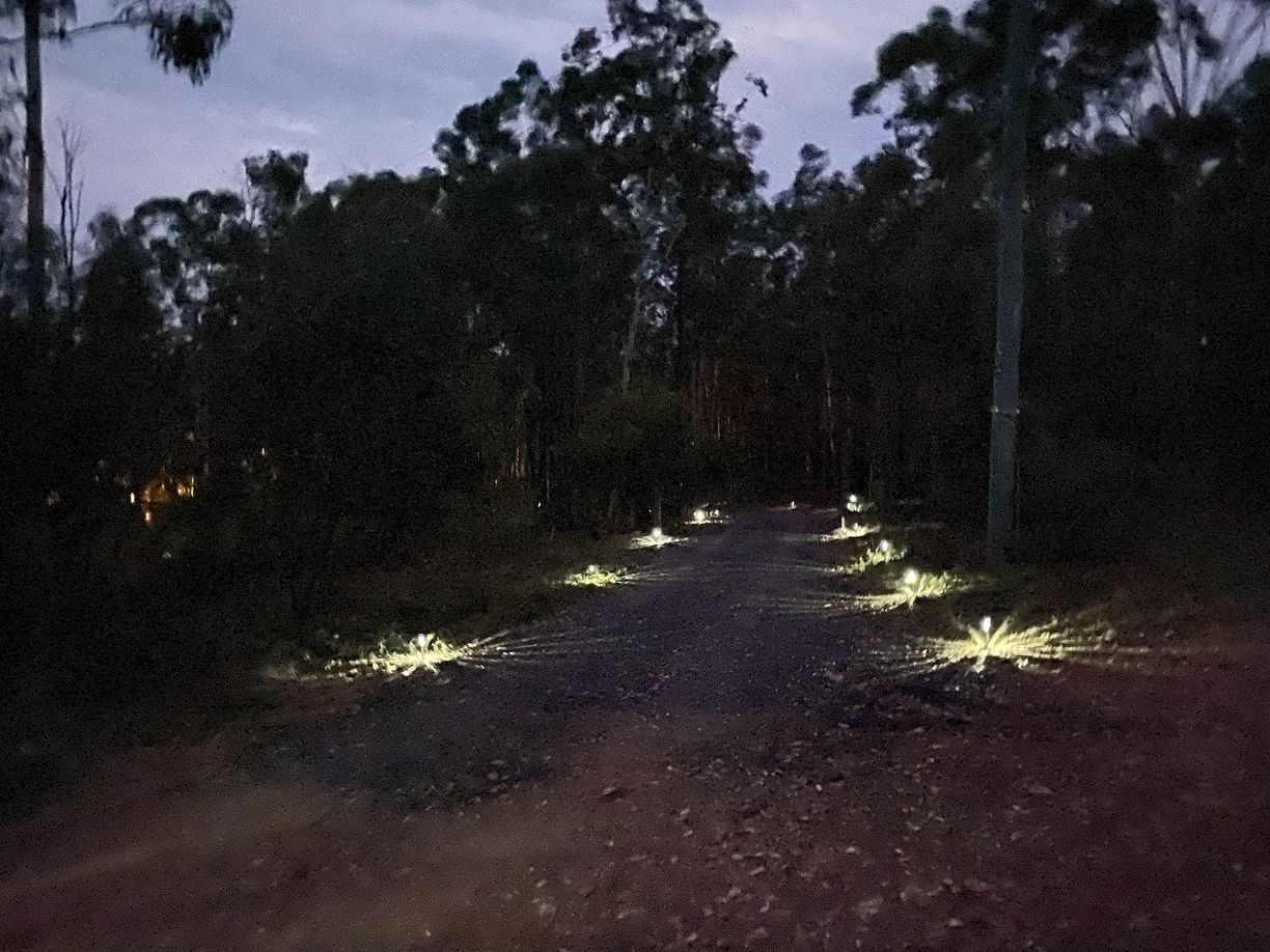 Good Night QLD — photo 23 of 23