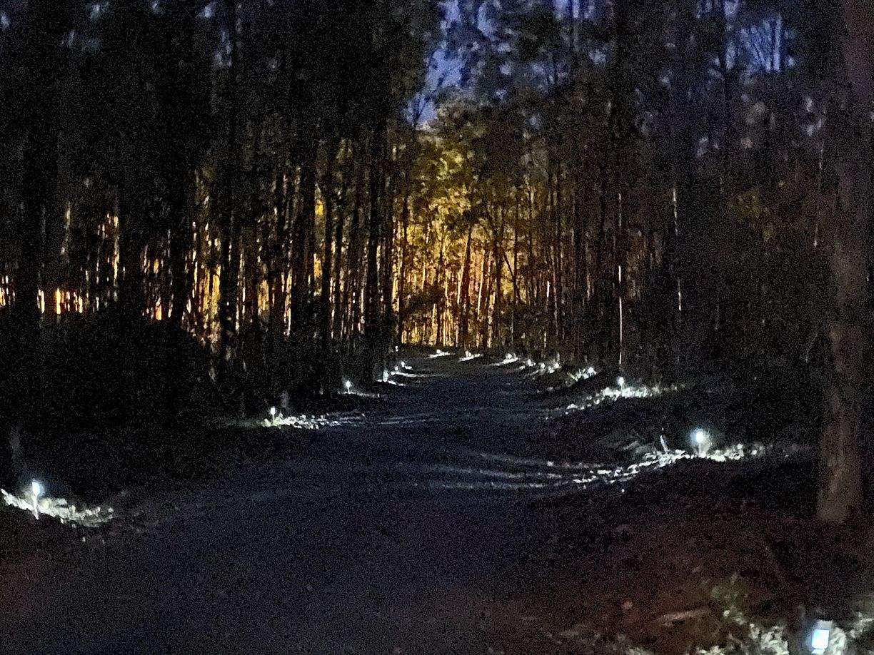 Good Night, QLD 4671 — photo from Raine & Horne Bundaberg
