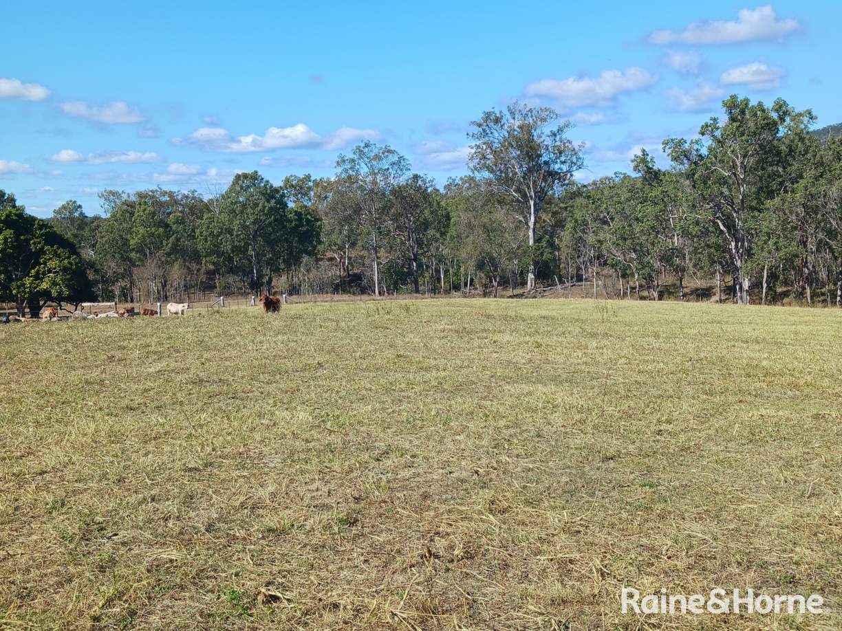 Lot 6 & Lot 25 Tunnel Road — photo 10 of 24