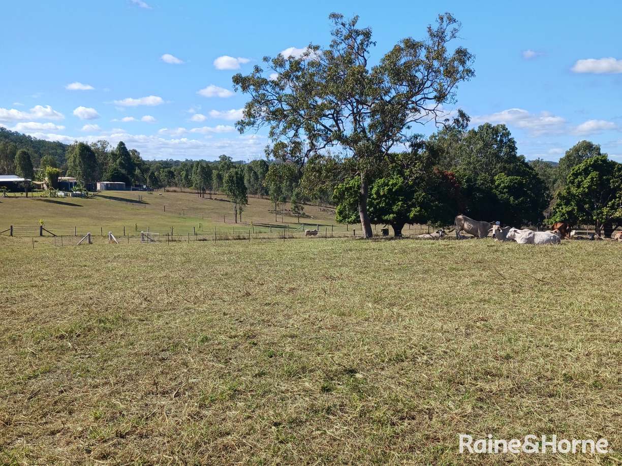 Lot 6 & Lot 25 Tunnel Road — photo 11 of 24