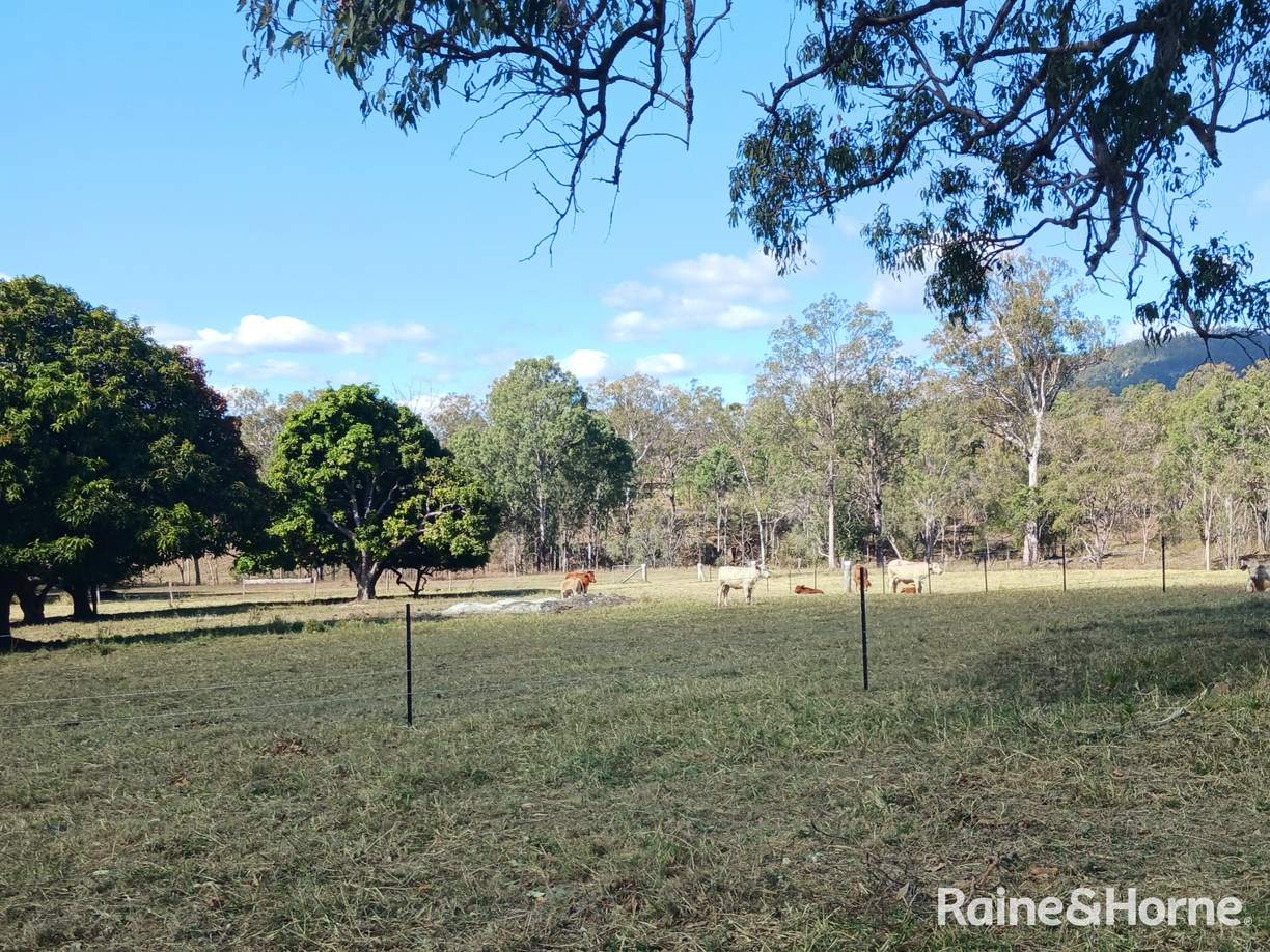 Lot 6 & Lot 25 Tunnel Road — photo 6 of 24