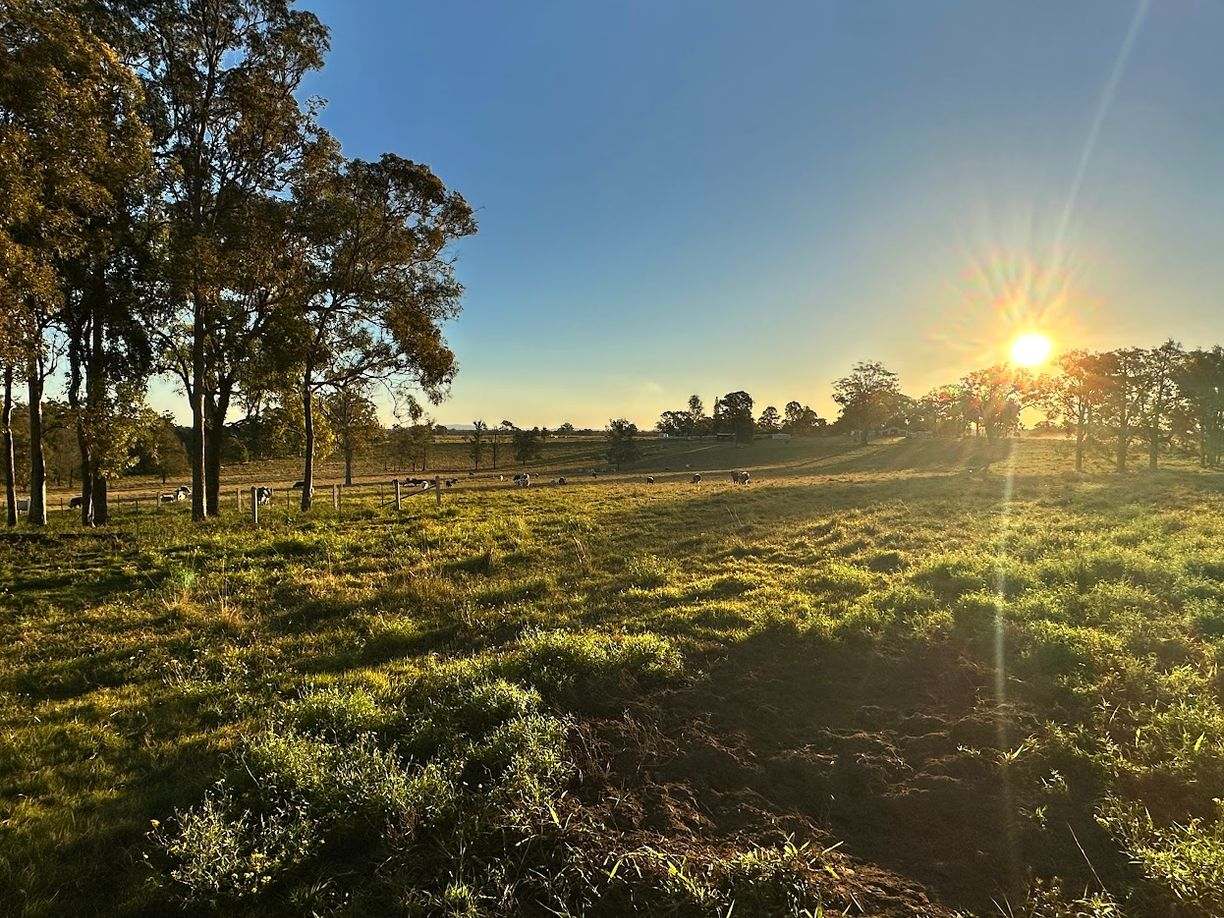 637 Lagoon Road — photo from Raine & Horne Ballina | Alstonville