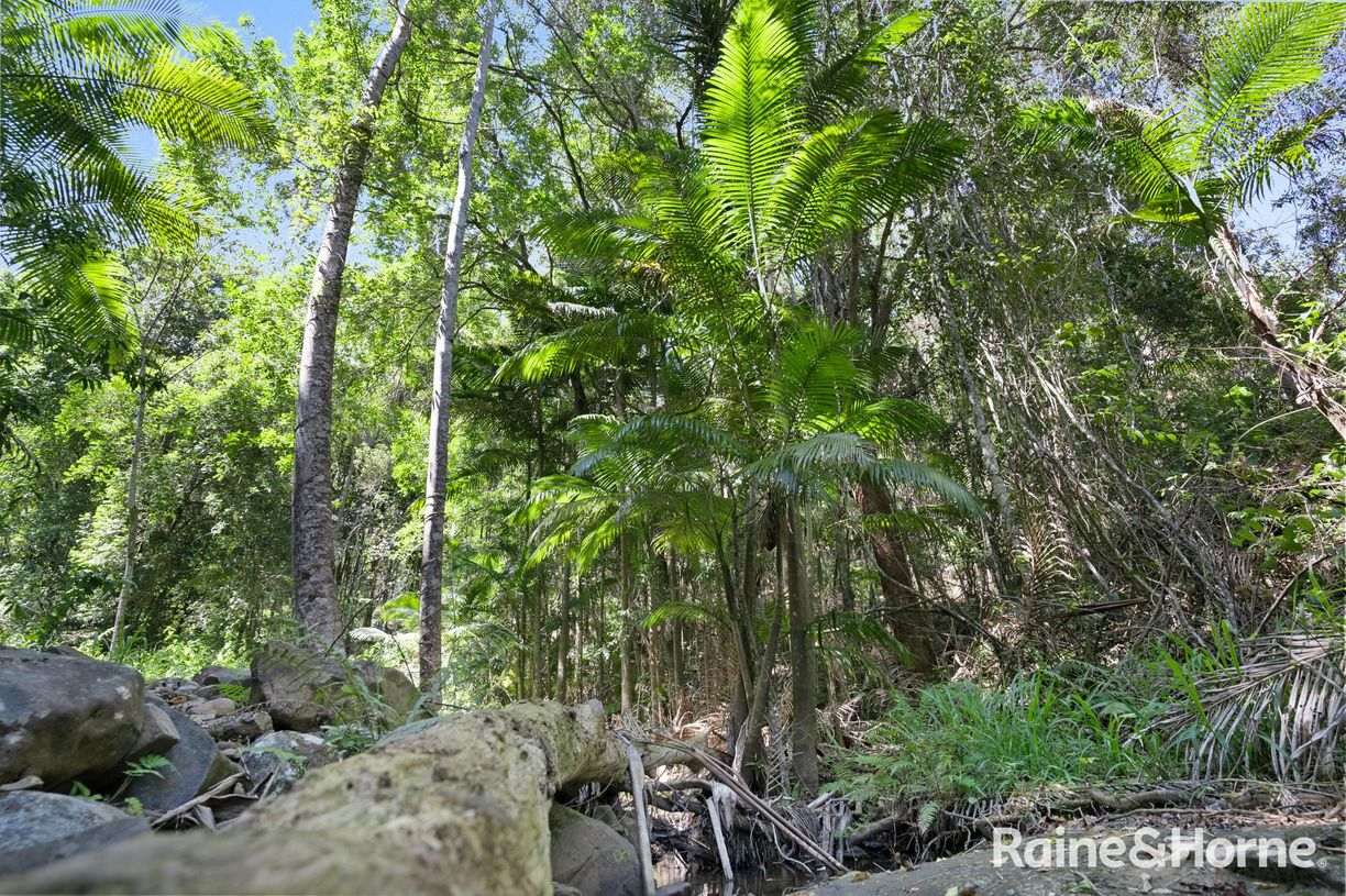 Byrrill Creek NSW — photo 23 of 30