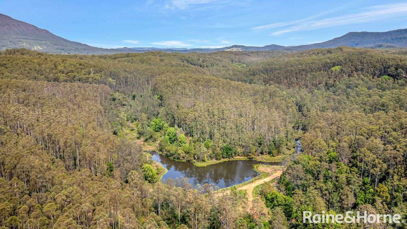 2984 Kyogle Road — photo 7 of 18
