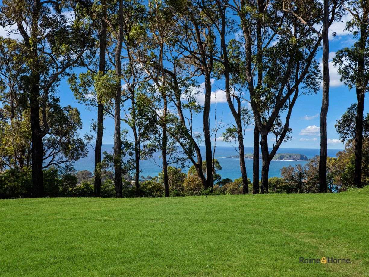 488 The Ridge Road — photo from Raine & Horne Batemans Bay