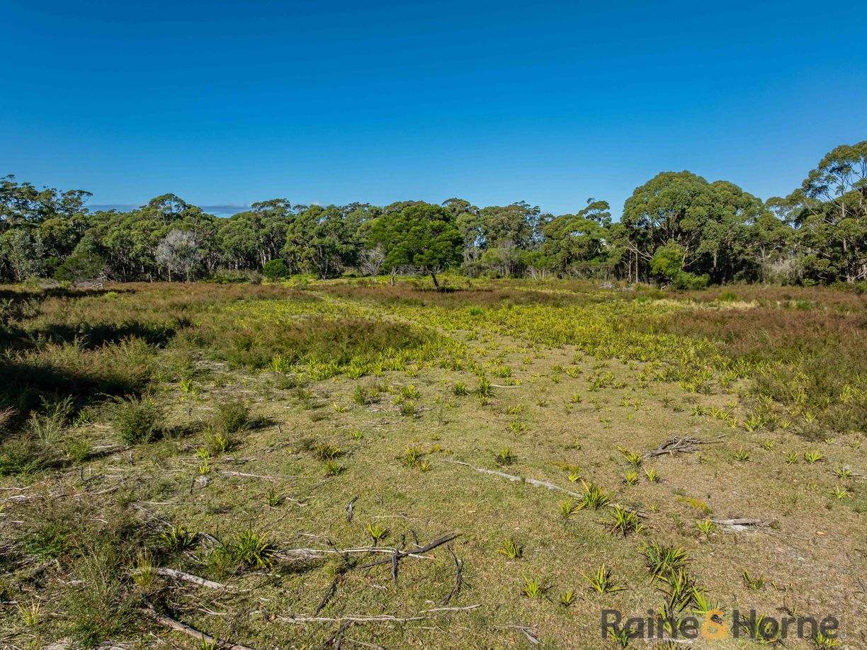 Lot 41 Golden Beaches Drive — photo 11 of 16