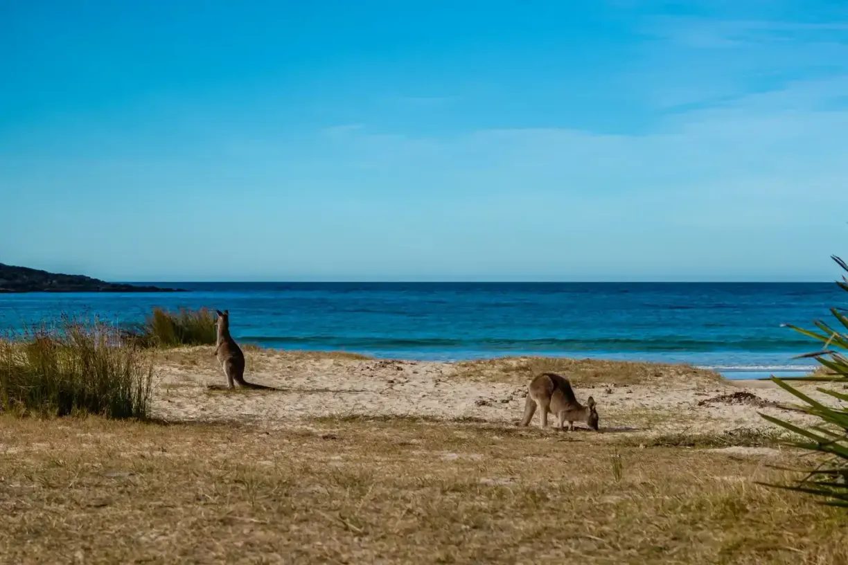 Lot 41 Golden Beaches Drive — photo 3 of 16