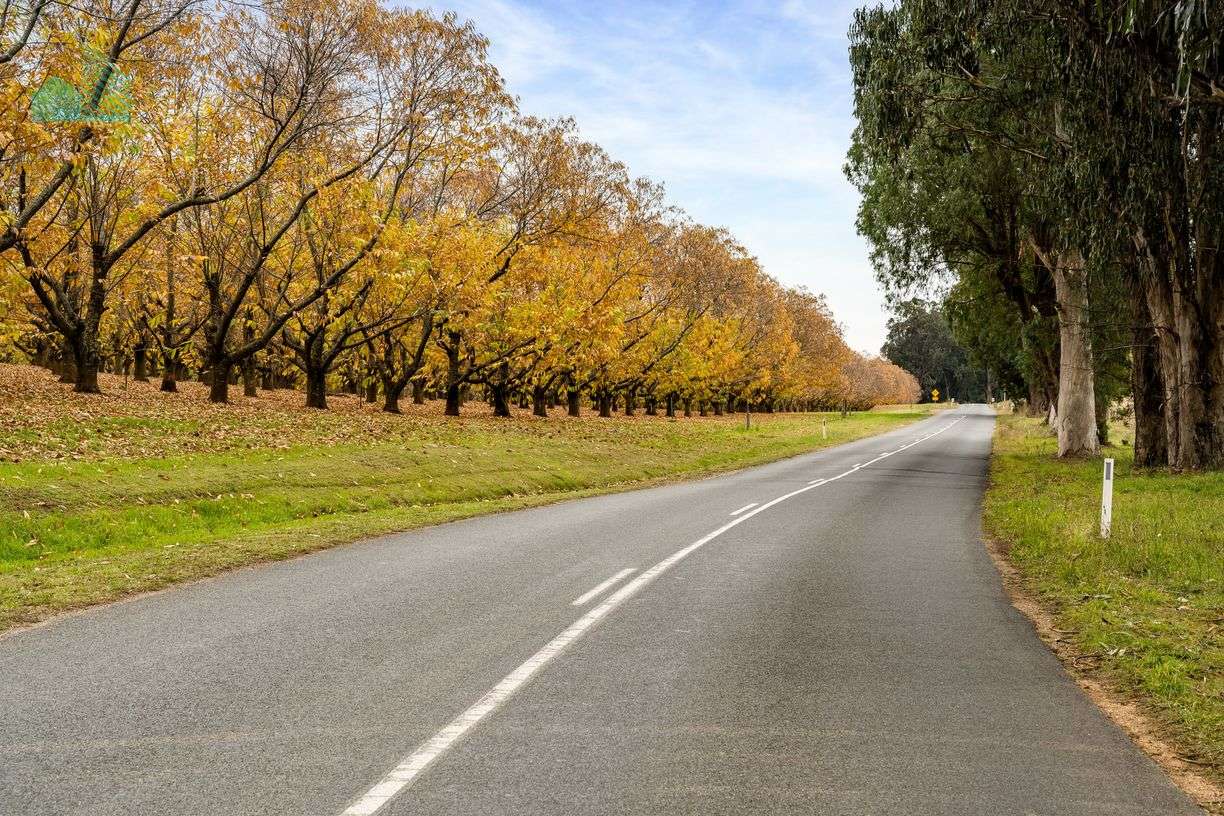 Stanton Drive — photo 16 of 19