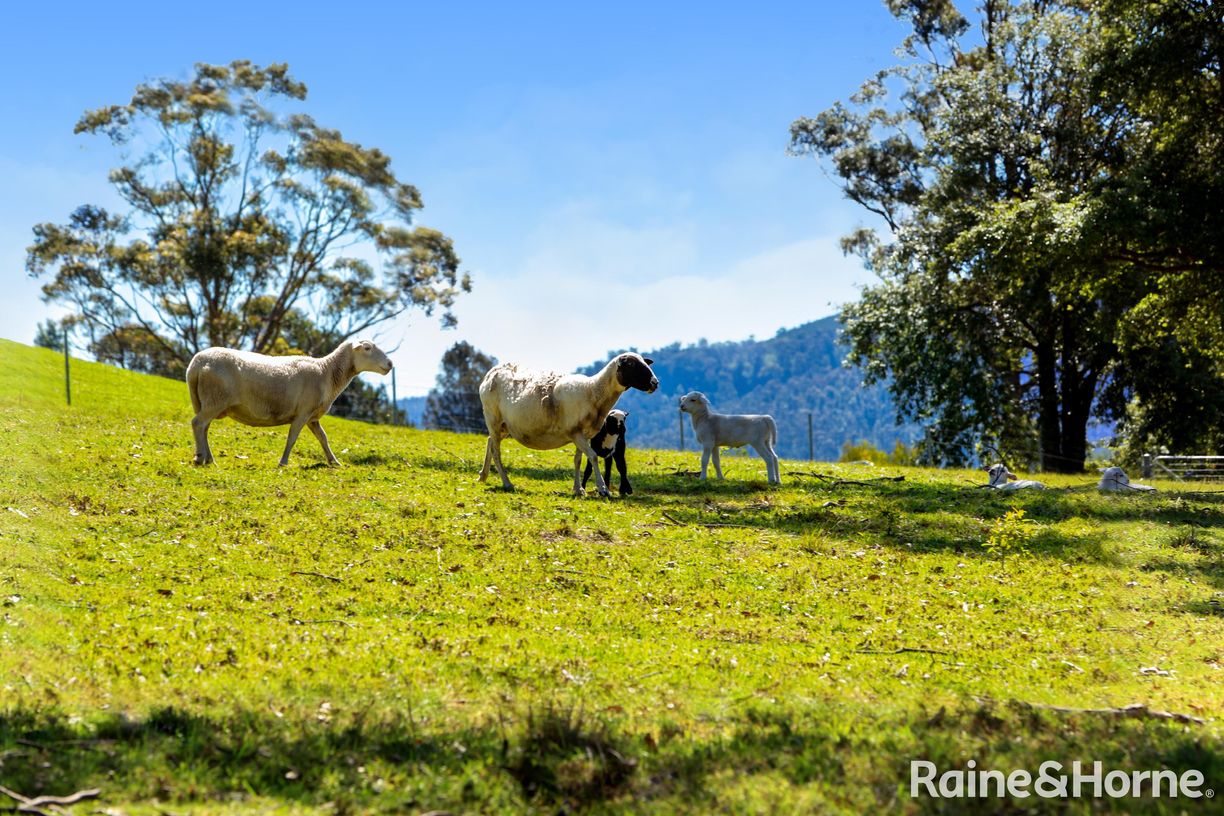271 Tallowa Dam Road — photo 10 of 13