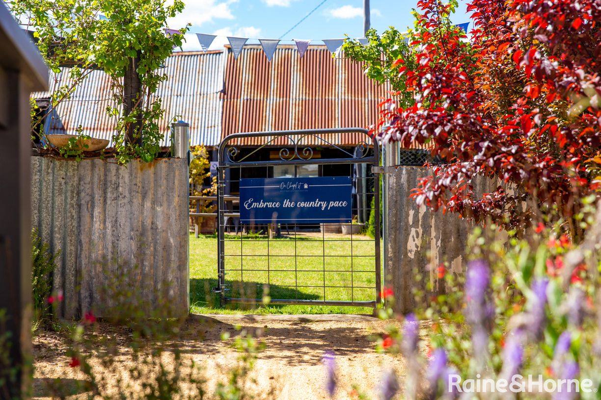 27 Gunning Street — photo 26 of 30