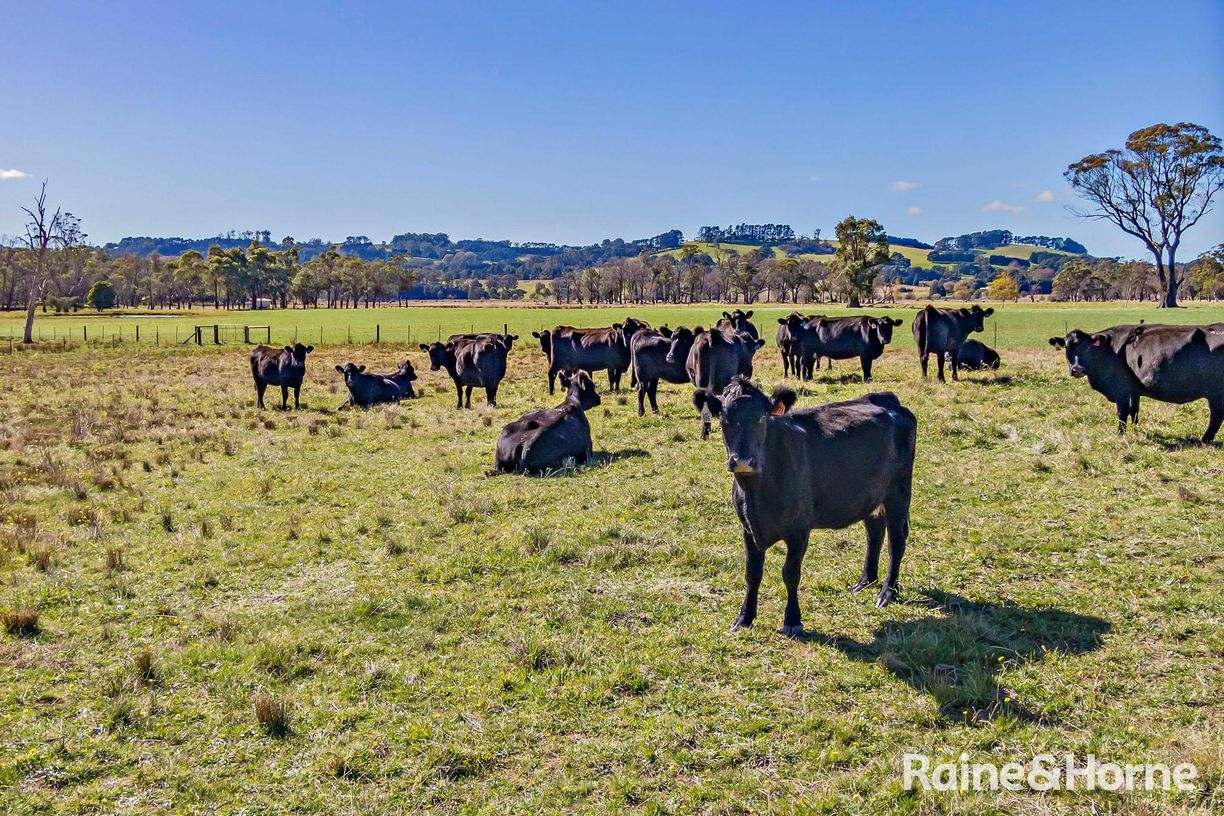 Glenquarry NSW — photo 4 of 30