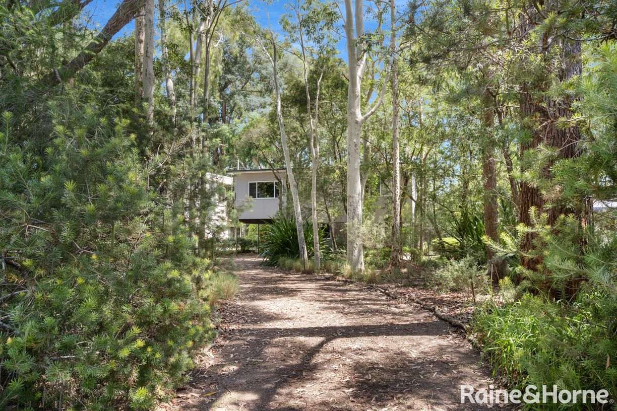 11 Bottle Brush Avenue — photo 7 of 18