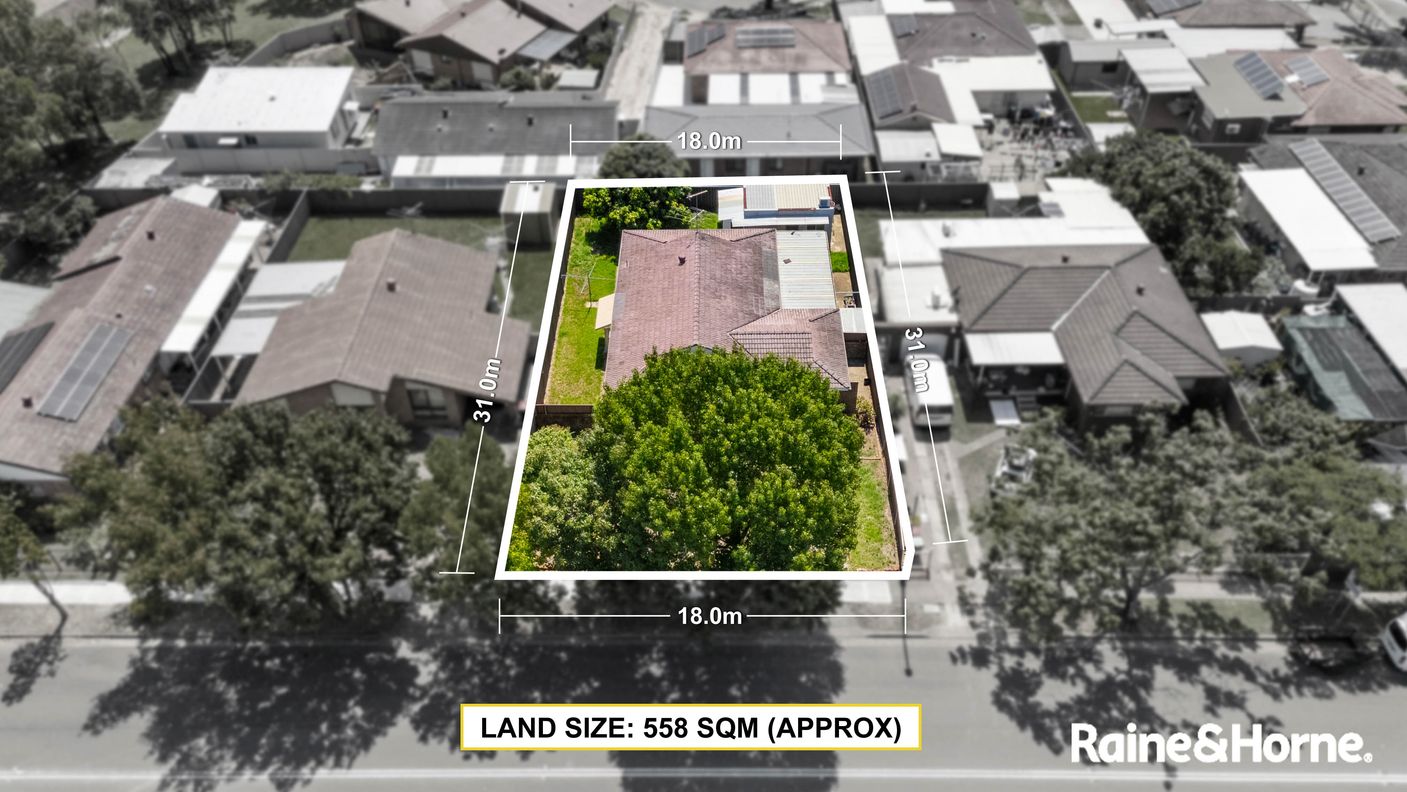 3 Canberra Street — photo 12 of 14