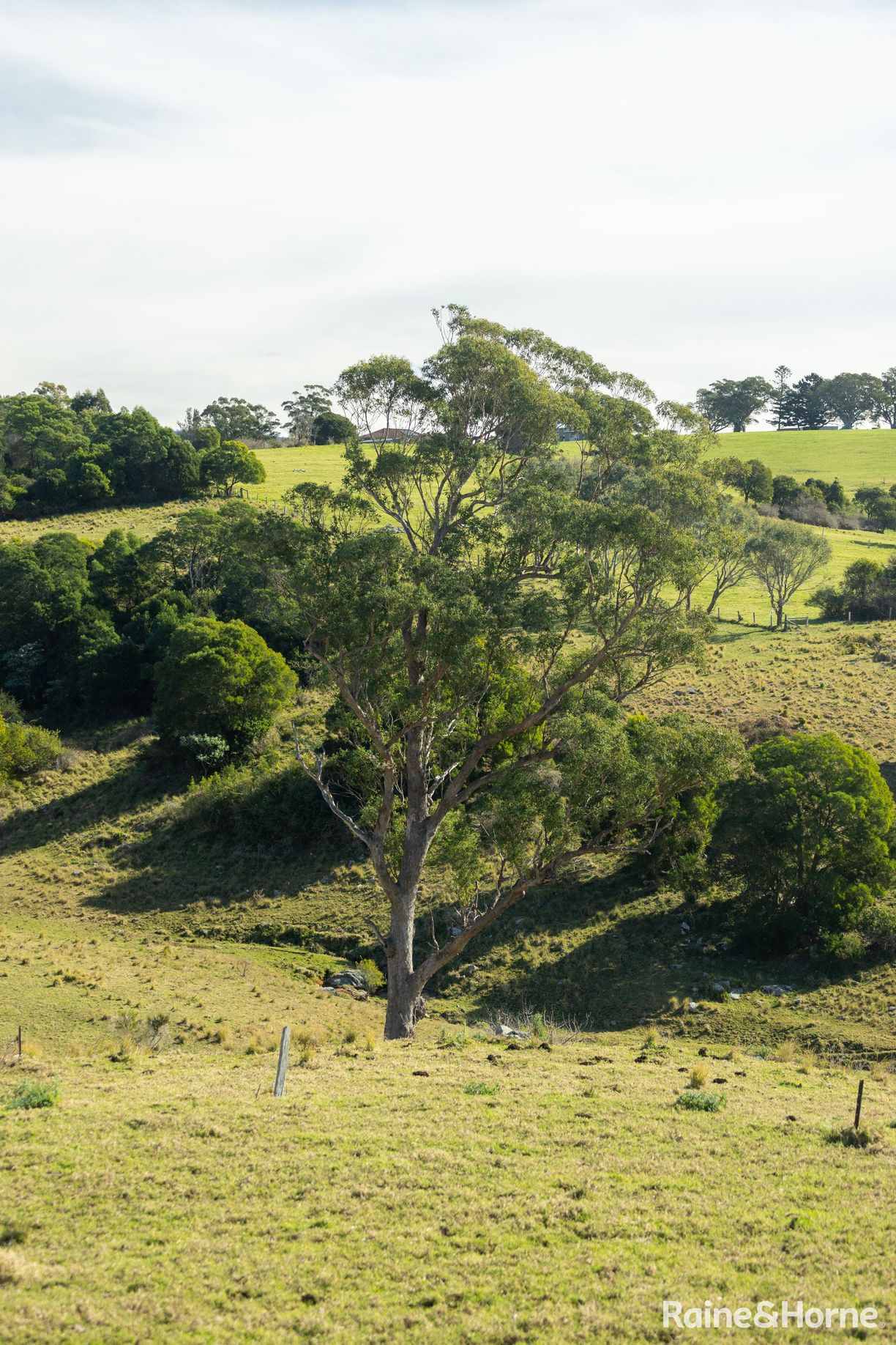 property-image