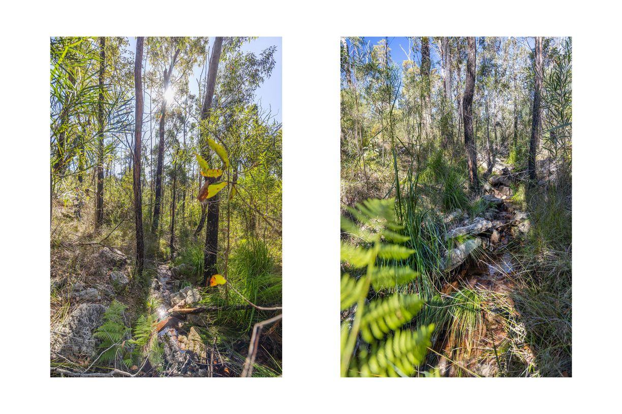 Lot 6 of Lot 33 Little Forest Road — photo 4 of 12