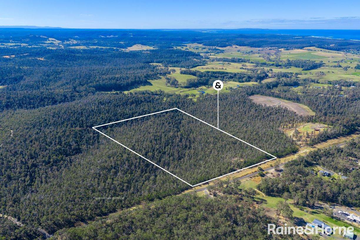Lot 6 of Lot 33 Little Forest Road — photo 3 of 12