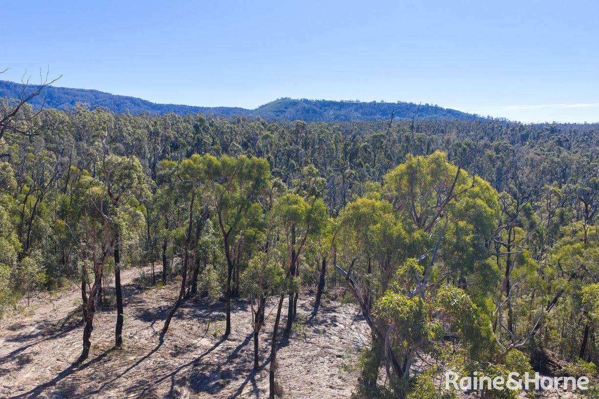 Lot 6 of Lot 33 Little Forest Road — photo 5 of 12